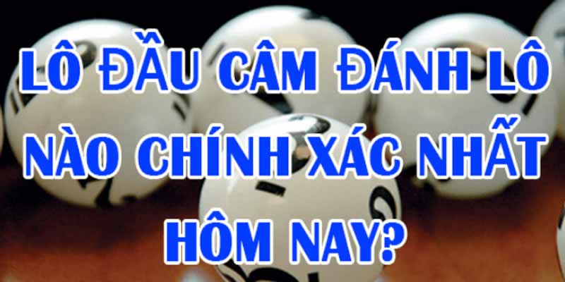 Tầm quan trọng của việc xác định số đánh khi lô đầu bị câm